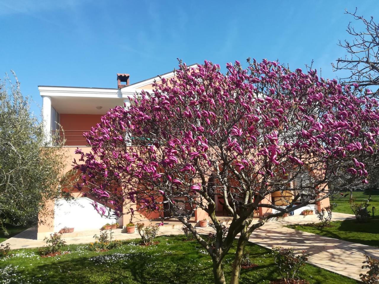 אומאג B&B Carmela מראה חיצוני תמונה