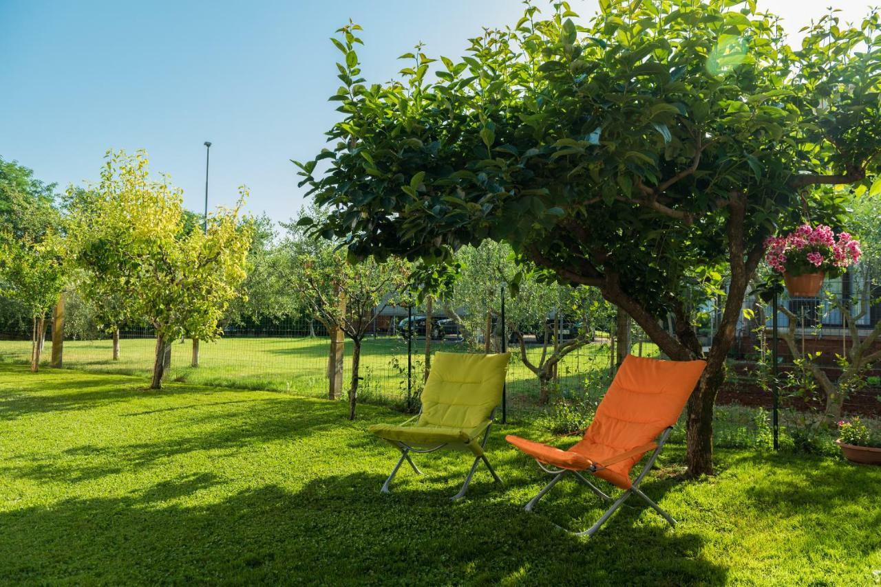 אומאג B&B Carmela מראה חיצוני תמונה