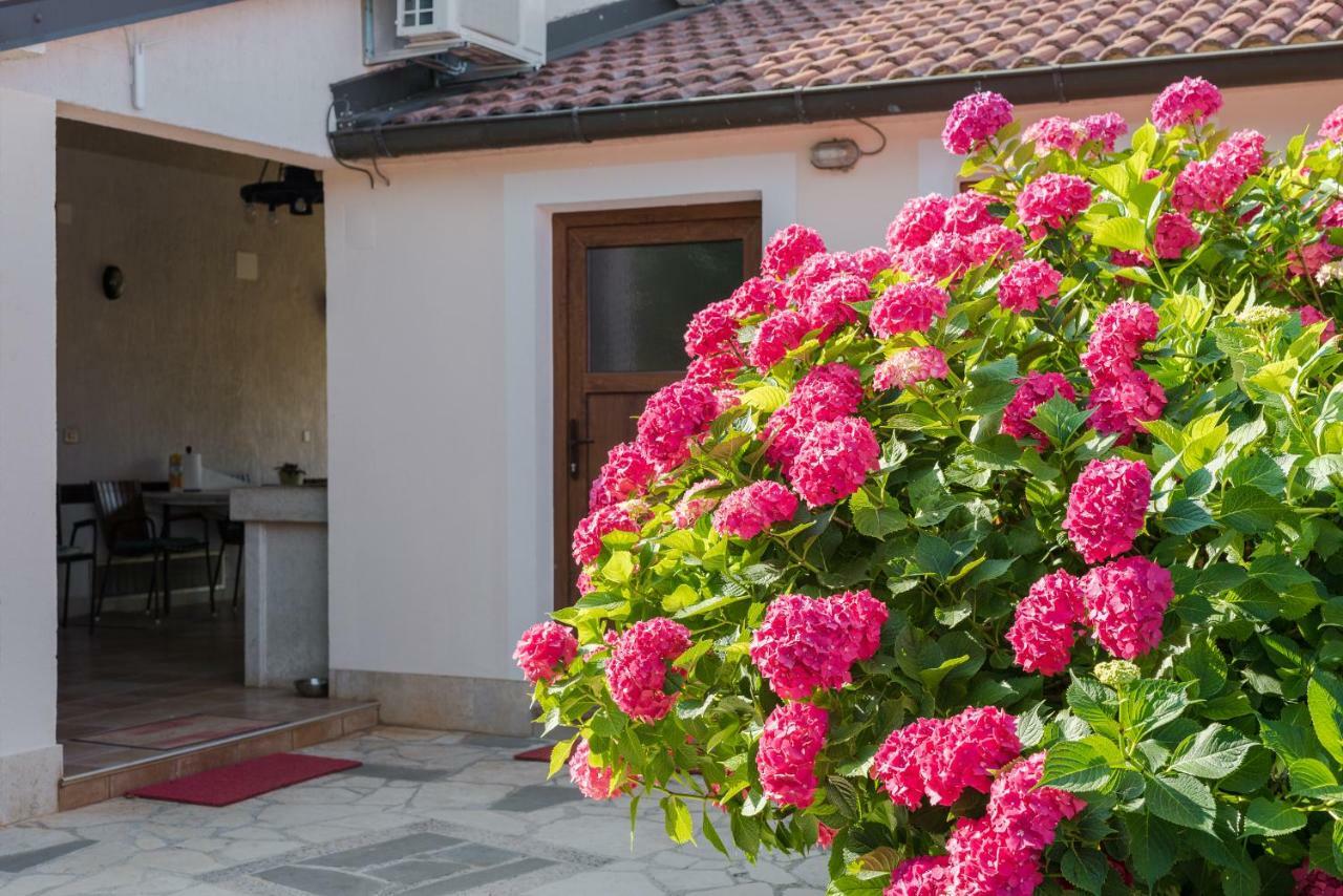 אומאג B&B Carmela מראה חיצוני תמונה